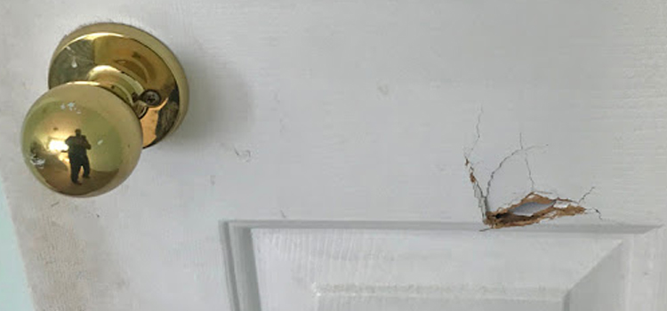 interior door hole repair Sherwood Park