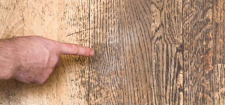 Wood Door Scratch Repair in Sherwood Park